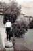 photo8_small.jpg