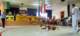 dsc03711_small.jpg