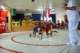 dsc03737_small.jpg