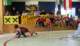 dsc03747_small.jpg