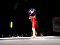 img_9310_small.jpg